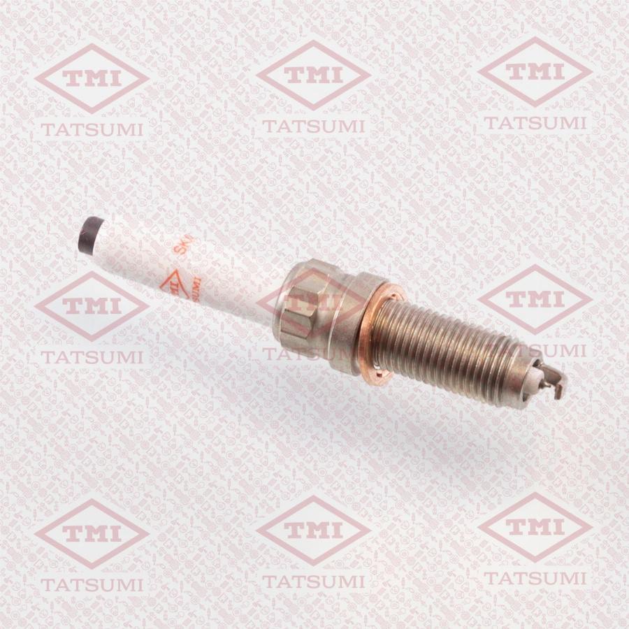 TATSUMI THS2015 - Spark Plug car-mod.net