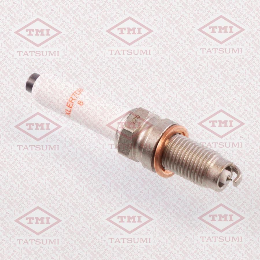 TATSUMI THS2017 - Spark Plug car-mod.net