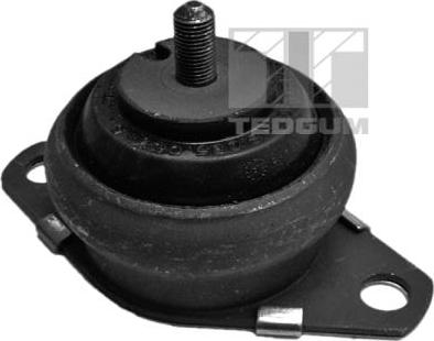 Tedgum 00216114 - Mounting, manual transmission support car-mod.net