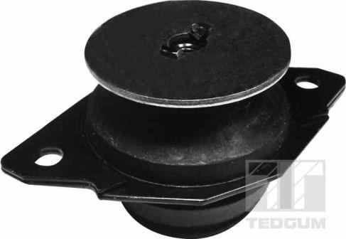 Tedgum 00725600 - Mounting, manual transmission support car-mod.net