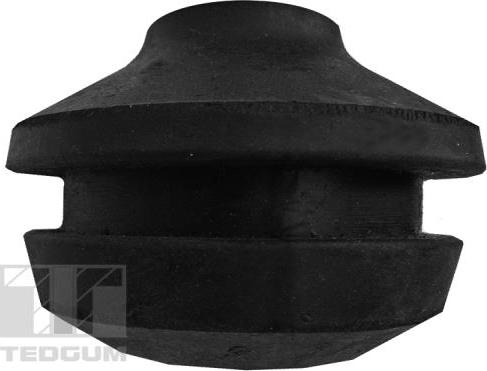 Tedgum 00728182 - Holder, engine mounting car-mod.net