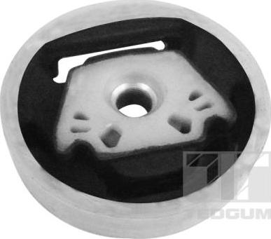 Tedgum 00728393 - Holder, engine mounting car-mod.net