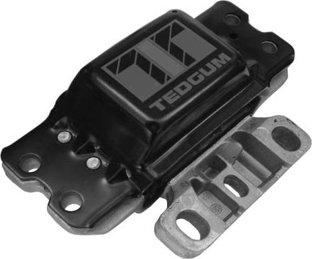 Tedgum 00722490 - Holder, engine mounting car-mod.net