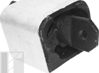 Tedgum TED99764 - Holder, engine mounting car-mod.net