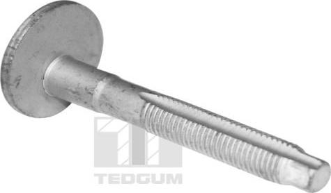 Tedgum TED39597 - Screw car-mod.net