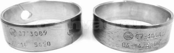 Tehavto 85957604 - Bearing, balance shaft car-mod.net