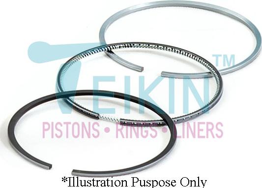 Teikin R-46313.STD - Piston Ring Kit car-mod.net