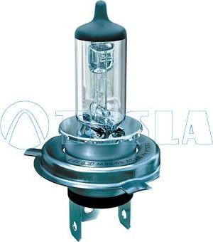 TESLA B10401 - Bulb, spotlight car-mod.net