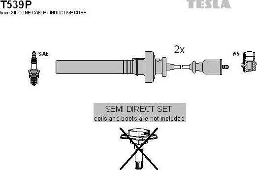 TESLA T539P - Ignition Cable Kit car-mod.net