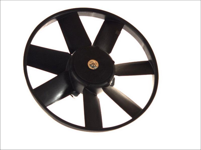 Thermotec D8W014TT - Fan, radiator car-mod.net