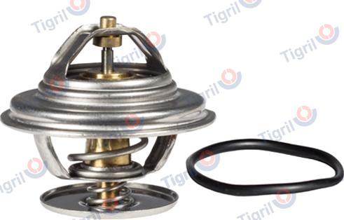 TIGRIL DB01.0074 - Coolant thermostat / housing car-mod.net