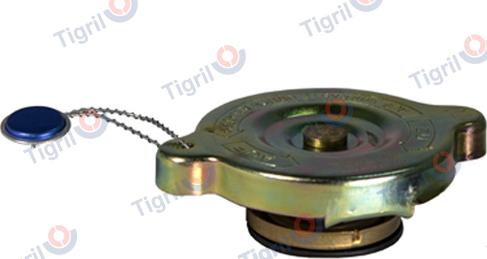 TIGRIL DB18.0019 - Sealing Cap, coolant tank car-mod.net
