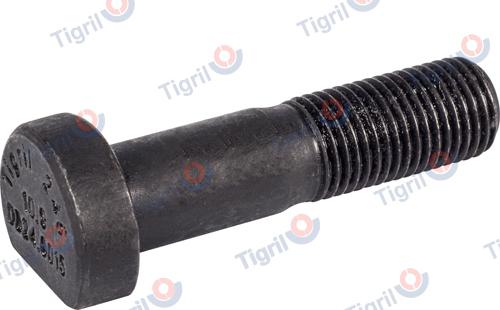 TIGRIL DB24.0015 - Stud, wheel hub car-mod.net