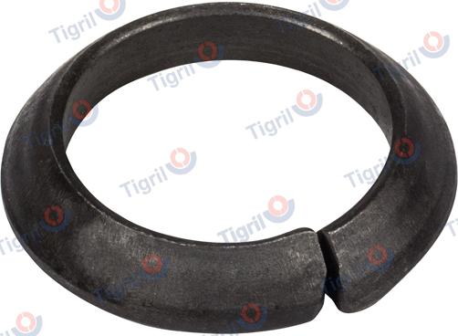 TIGRIL DB24.0028 - Retaining Ring, wheel rim car-mod.net