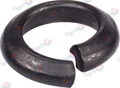 TIGRIL DB24.0027 - Retaining Ring, wheel rim car-mod.net