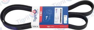 TIGRIL VO01.0066 - V-Ribbed Belt car-mod.net