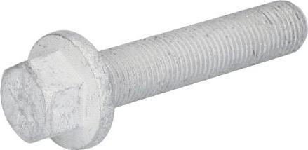 Topran 503 133 - Pulley Bolt car-mod.net