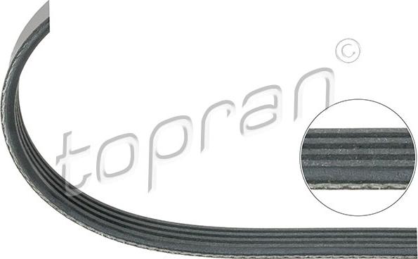 Topran 500 689 - V-Ribbed Belt car-mod.net