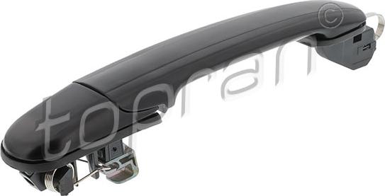Topran 109 787 - Door Handle car-mod.net