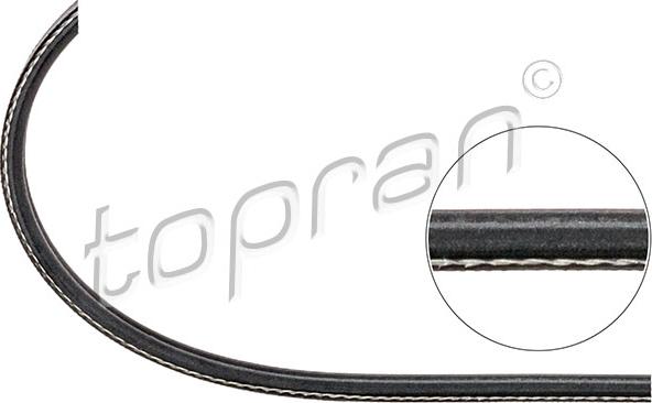 Topran 108 567 - V-Ribbed Belt car-mod.net