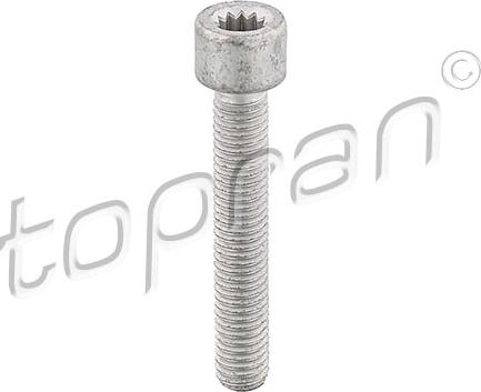 Topran 104 306 - Bolt, propshaft flange car-mod.net