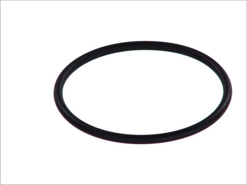 Topran 100 571 - Gasket, water pump car-mod.net