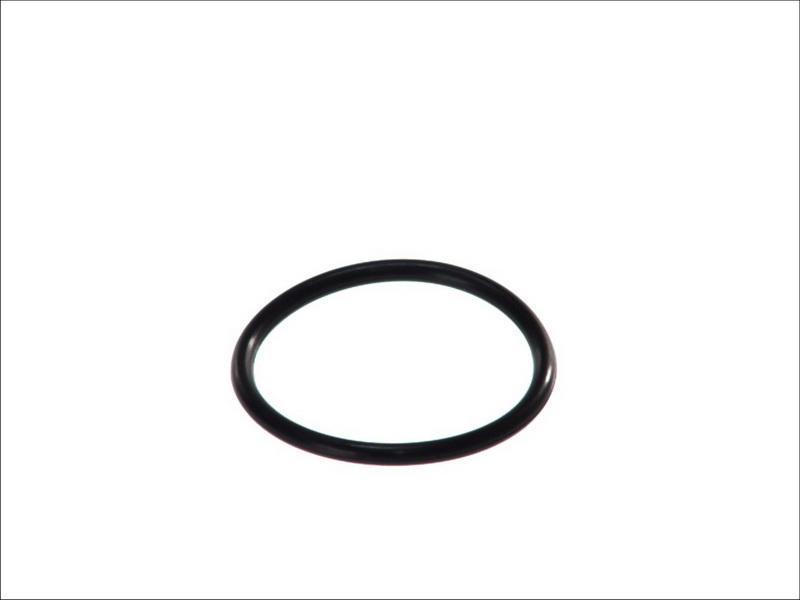 Topran 100 618 - Gasket, thermostat car-mod.net