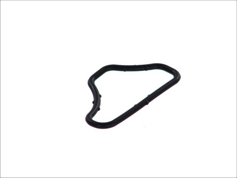 Topran 100 261 - Gasket, coolant flange car-mod.net