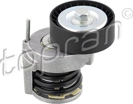 Topran 110 378 - Belt Tensioner, v-ribbed belt car-mod.net