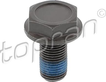 Topran 110 260 - Flywheel Bolt car-mod.net