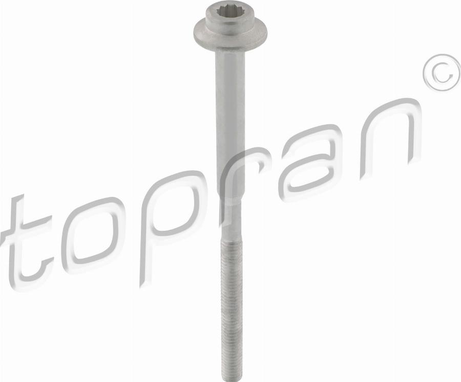Topran 120 665 - Screw, injection nozzle holder car-mod.net