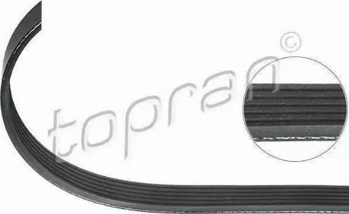 Topran 117 019 - V-Ribbed Belt car-mod.net
