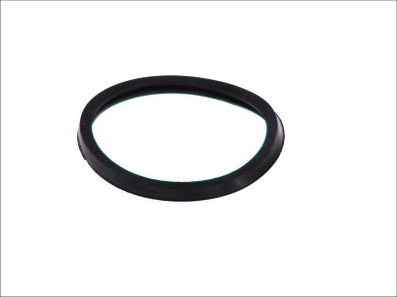 Topran 202 325 - Gasket, thermostat car-mod.net