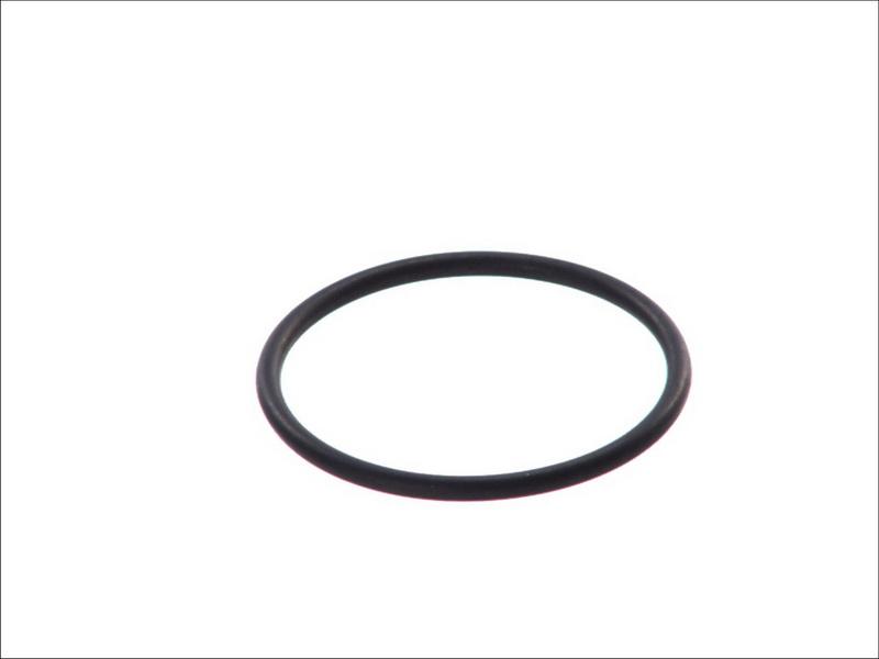 Topran 202 215 - Seal, fuel sender unit car-mod.net