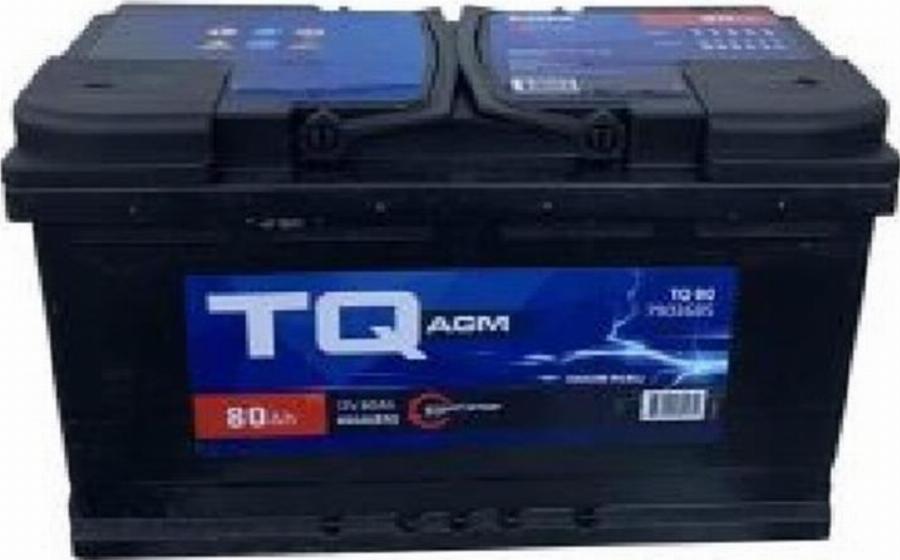 TQ 7906295 - Starter Battery car-mod.net