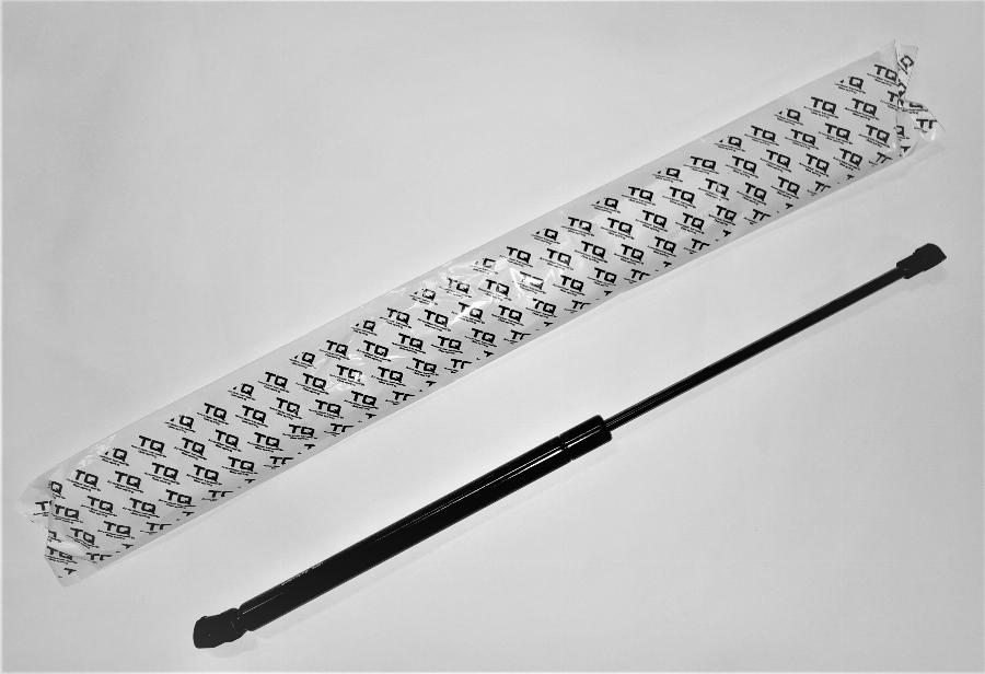 CARRO 294008305 - Gas Spring, boot, cargo area car-mod.net