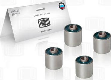 Trialli SB S 0342 - Bush of Control / Trailing Arm car-mod.net