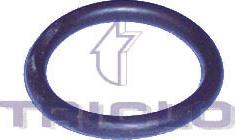 Triclo 441756 - Gasket, thermostat car-mod.net