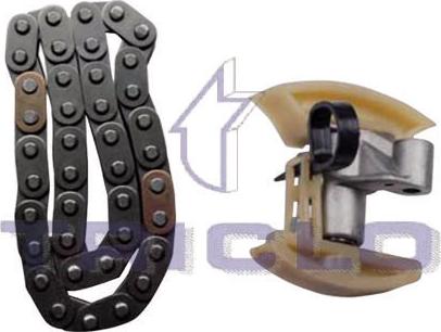 Triclo 428911 - Tensioner, chain car-mod.net