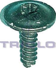 Triclo 161477 - Screw car-mod.net