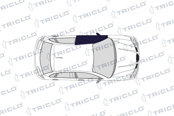 CARRO 013607850 - Door Handle car-mod.net