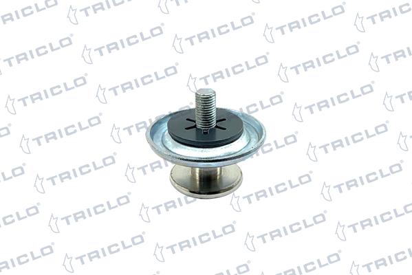 Triclo 135098 - Guide, locking knob, pin car-mod.net