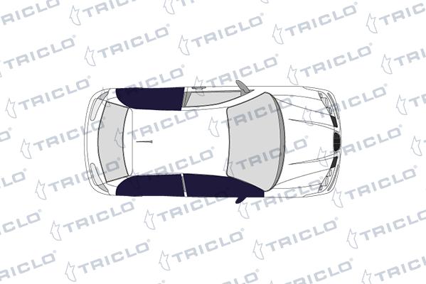 CARRO 152107846 - Door Handle car-mod.net