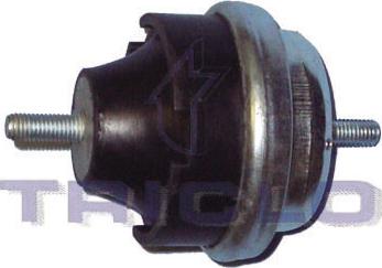 Triclo 361600 - Holder, engine mounting car-mod.net