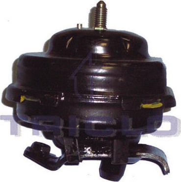 Triclo 363909 - Holder, engine mounting car-mod.net