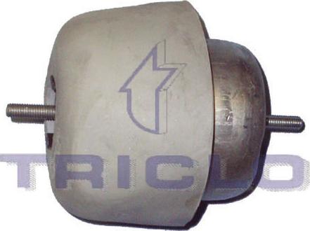Triclo 363904 - Holder, engine mounting car-mod.net