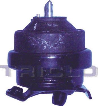 Triclo 363908 - Holder, engine mounting car-mod.net