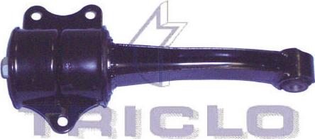 Triclo 363914 - Holder, engine mounting car-mod.net