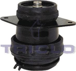Triclo 363987 - Holder, engine mounting car-mod.net
