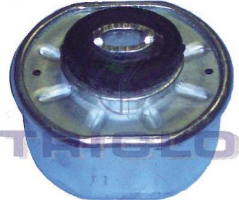Triclo 363866 - Holder, engine mounting car-mod.net